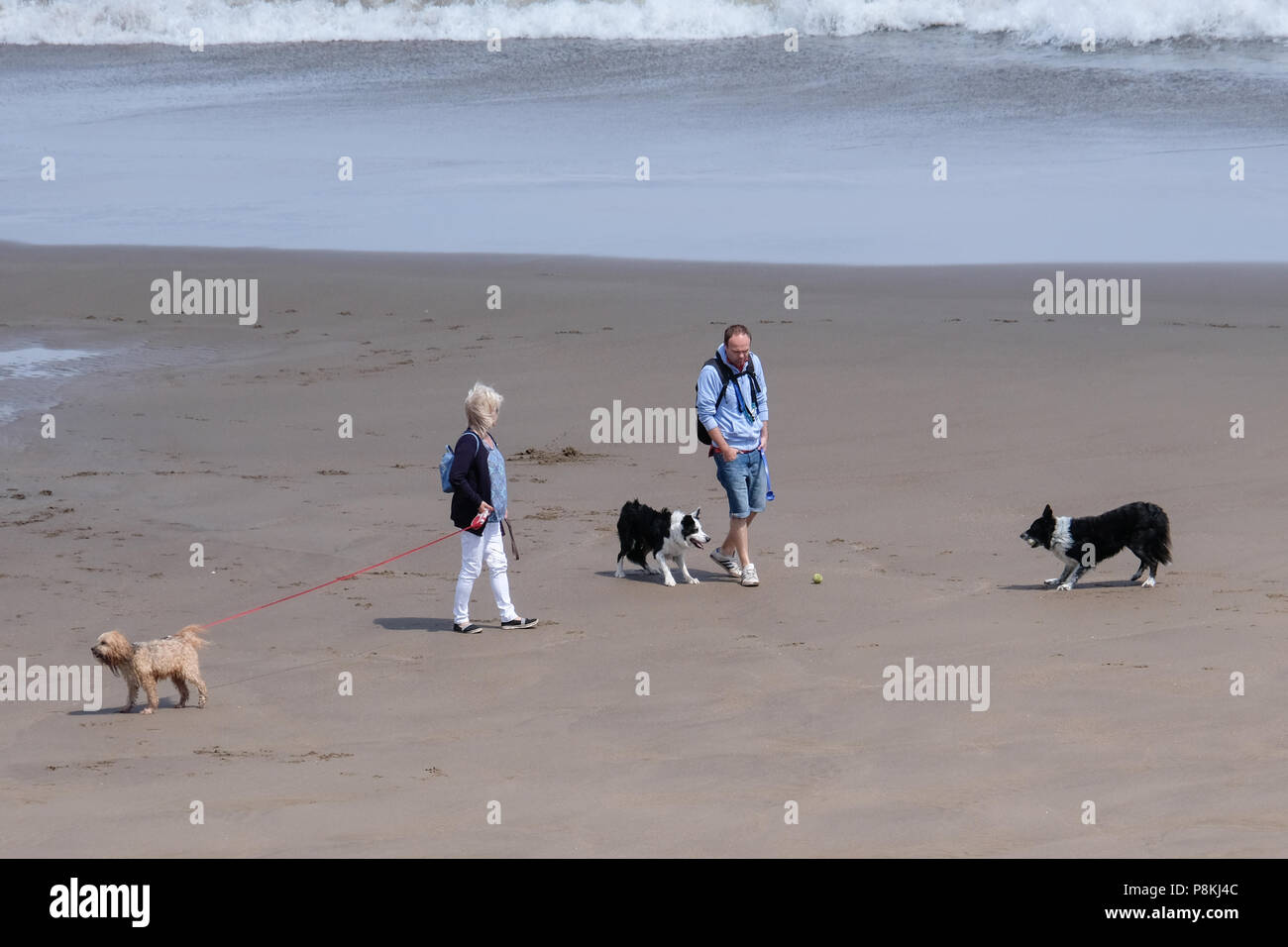 Un paio di piedi i loro tre cani sulla spiaggia di Baia del Nord, Scarborough, Yorkshire Foto Stock