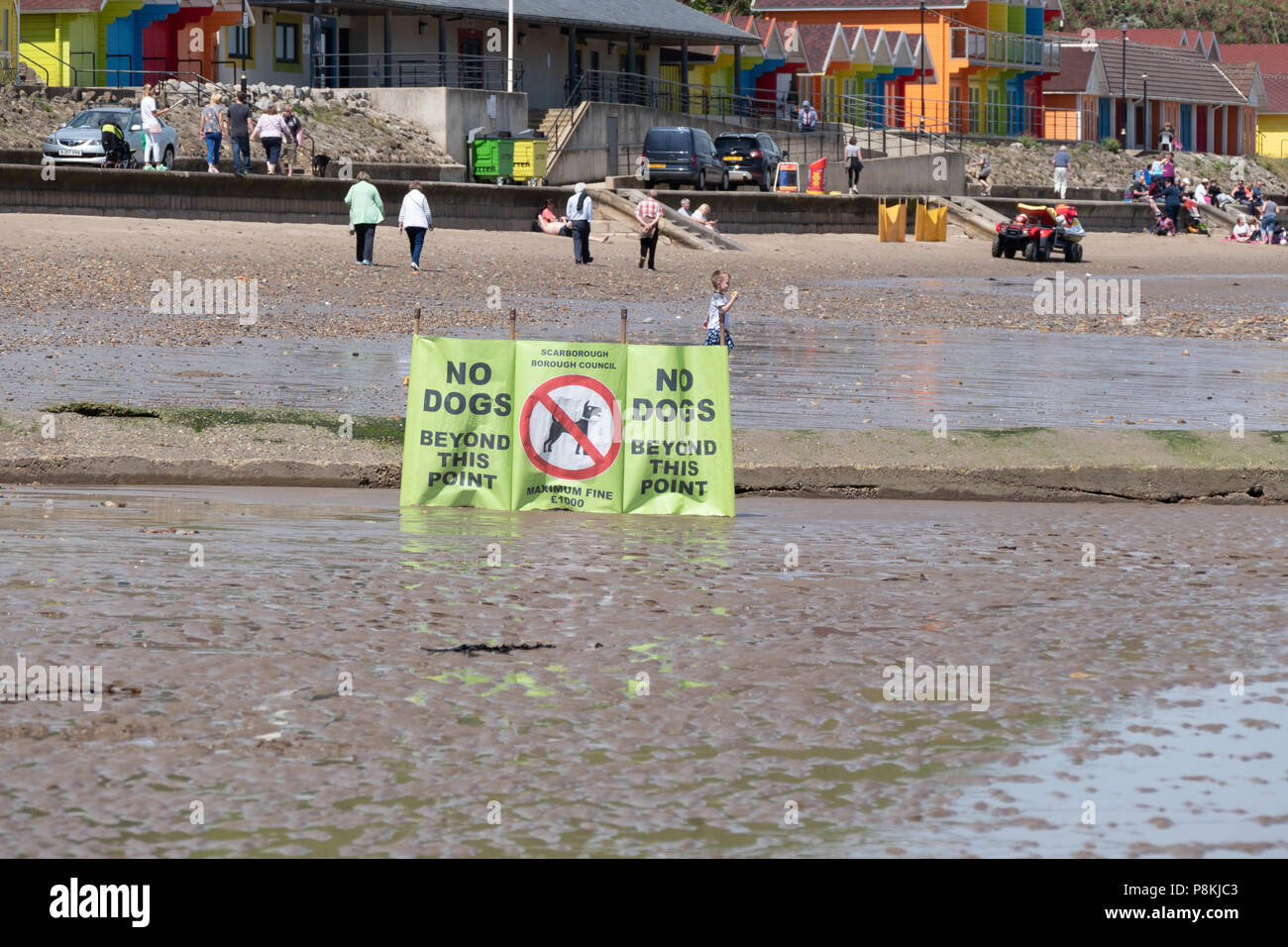 Indicazioni per contrassegnare il cane friendly area della spiaggia di Baia del Nord, Scarborough,Yorkshire, Regno Unito Foto Stock