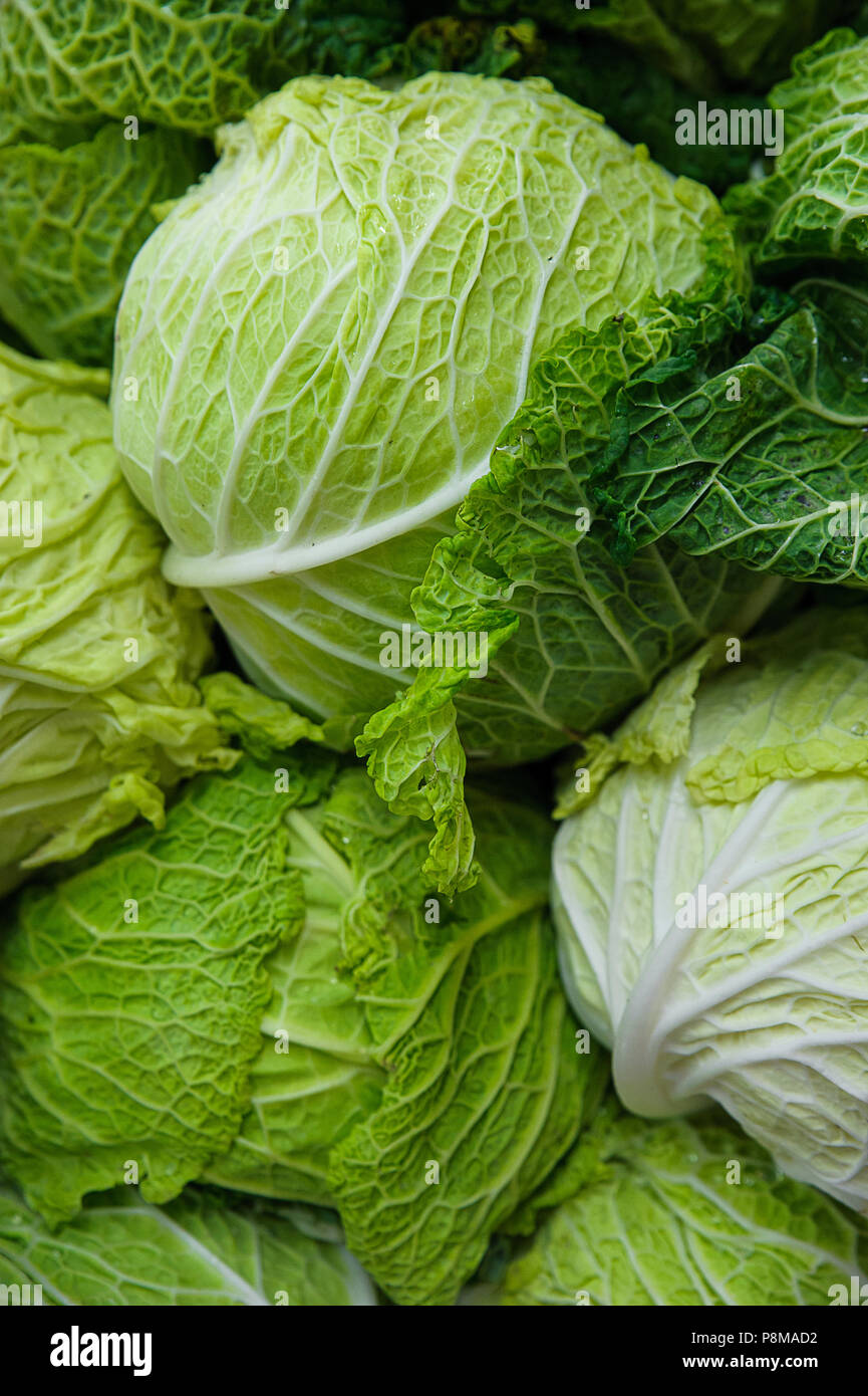Sfondo di cibo - rugosa e gara Savoy cavoli cappucci Foto Stock