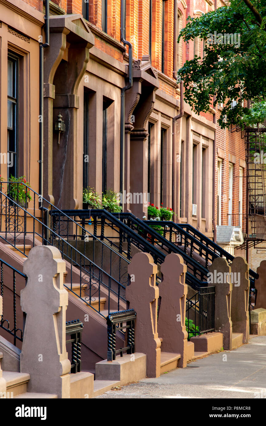 New York, Città / STATI UNITI D'America - 10 LUG 2018: vecchi edifici di Hicks Street in Brooklyn Heights quartiere di New York City Foto Stock