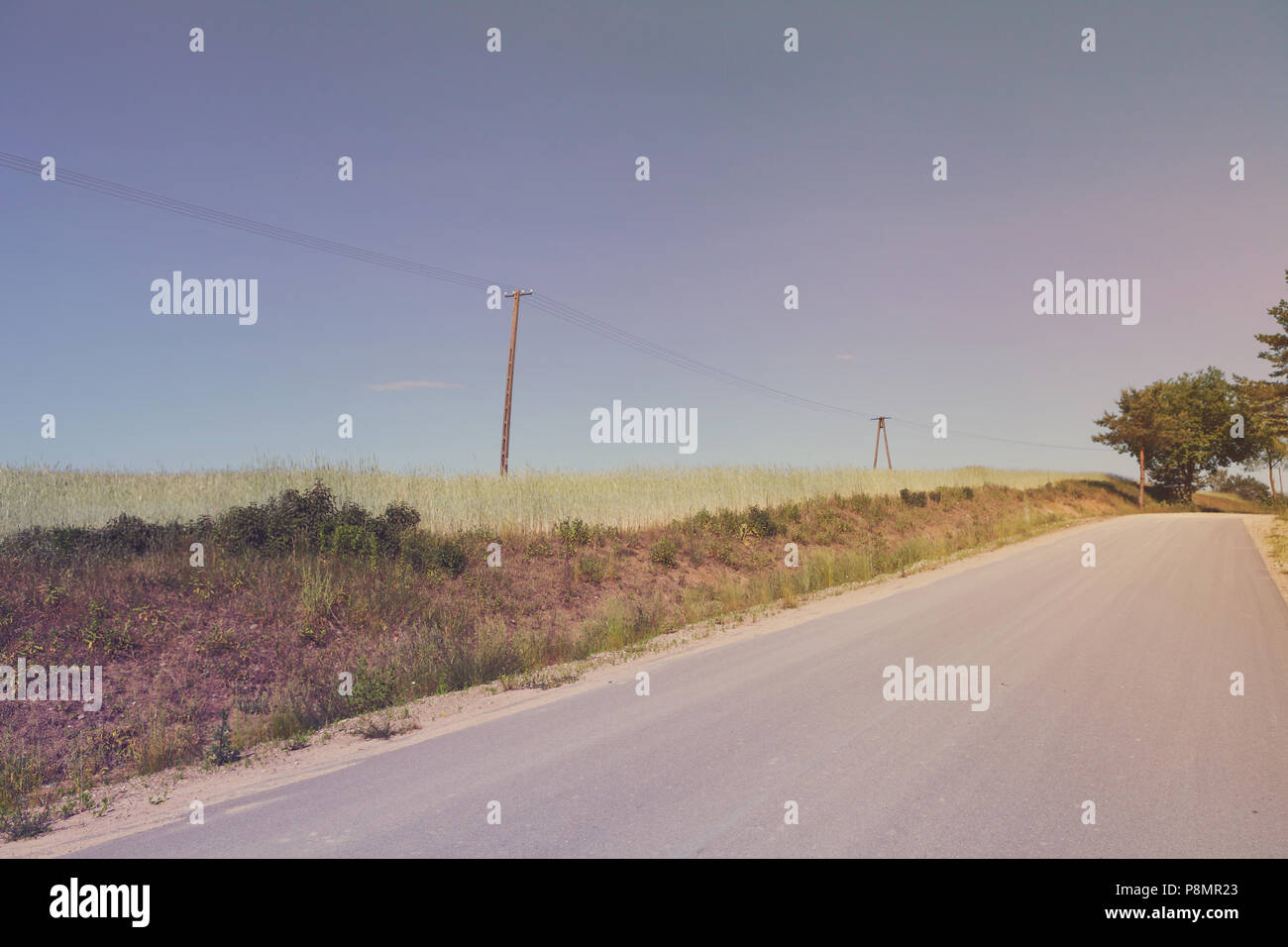 Vecchia linea telefonica sul campo di grano dalla strada Foto Stock