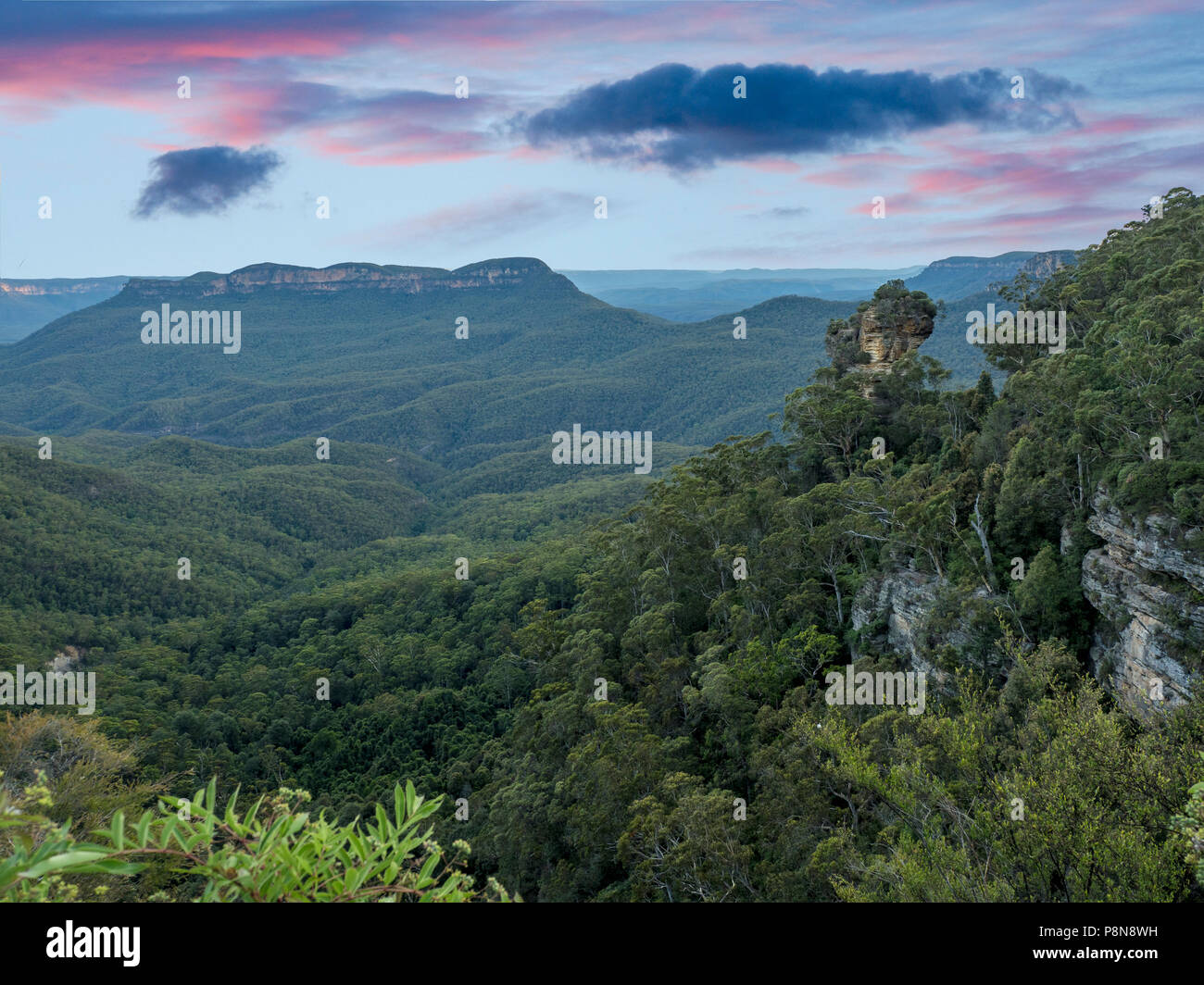 Rock nel Blue Mountains National Park Foto Stock