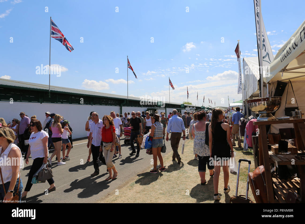 Il grande spettacolo dello Yorkshire, luglio,2018 il grande spettacolo dello Yorkshire è un iconico evento di tre giorni e una delle più importanti manifestazioni del settore agricolo in inglese ca Foto Stock
