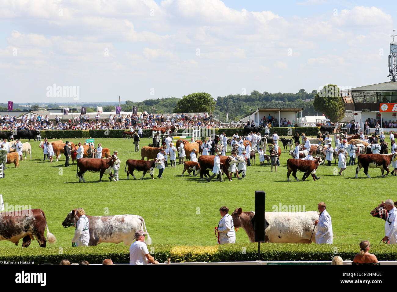 Il grande spettacolo dello Yorkshire, luglio,2018 il grande spettacolo dello Yorkshire è un iconico evento di tre giorni e una delle più importanti manifestazioni del settore agricolo in inglese ca Foto Stock