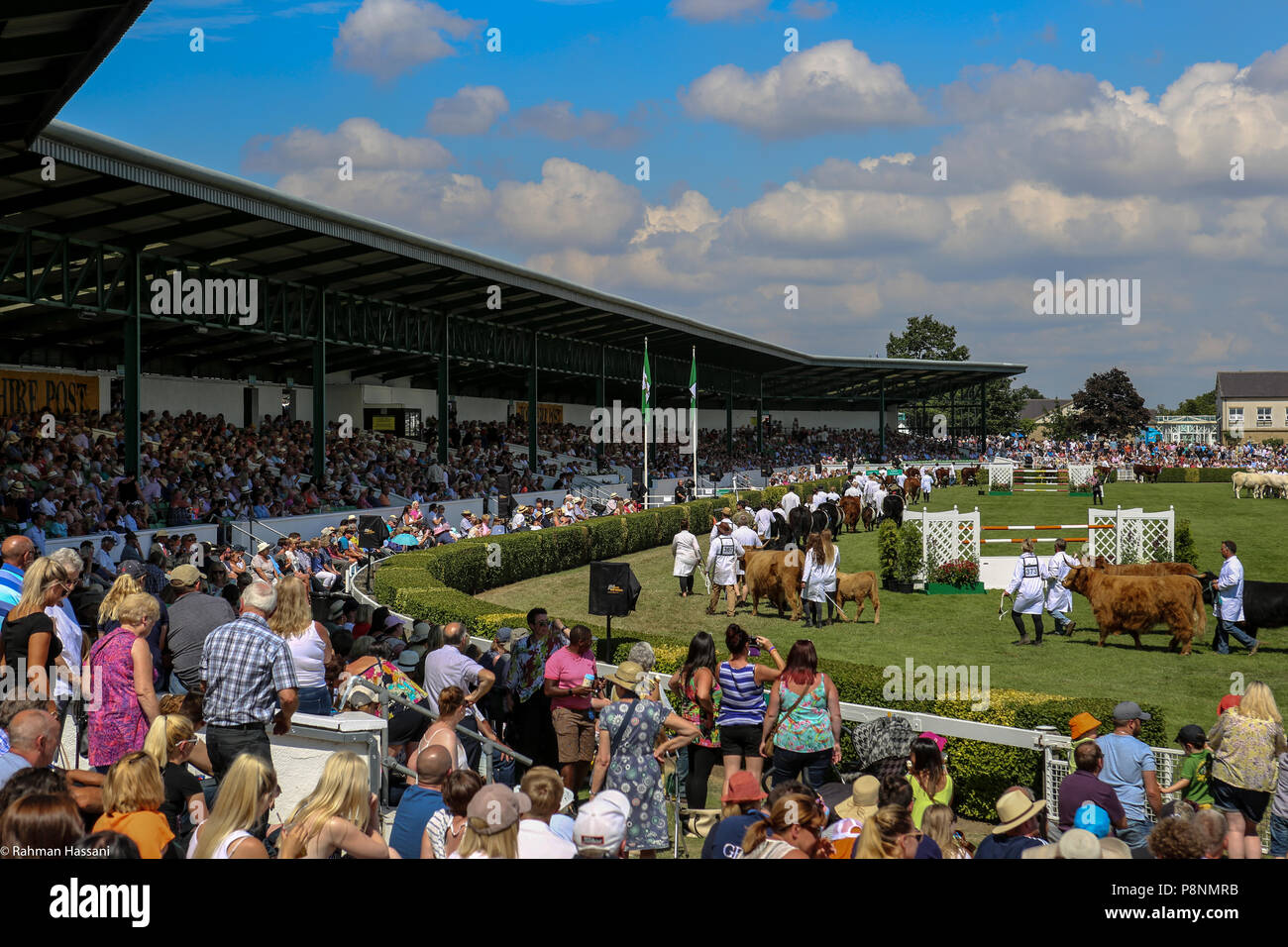 Il grande spettacolo dello Yorkshire, luglio,2018 il grande spettacolo dello Yorkshire è un iconico evento di tre giorni e una delle più importanti manifestazioni del settore agricolo in inglese ca Foto Stock
