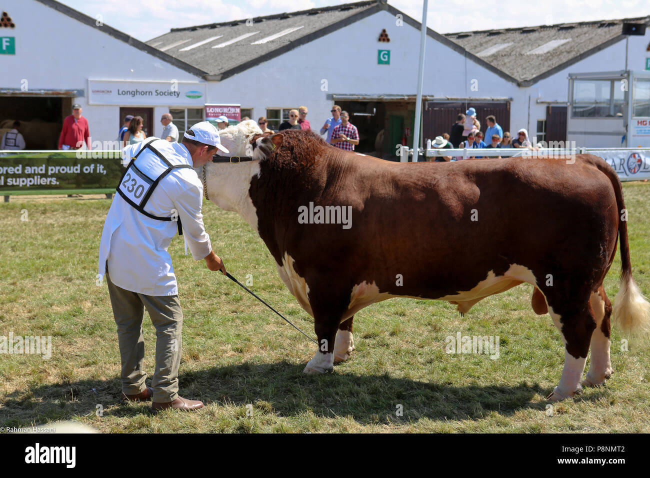 Il grande spettacolo dello Yorkshire, luglio,2018 il grande spettacolo dello Yorkshire è un iconico evento di tre giorni e una delle più importanti manifestazioni del settore agricolo in inglese ca Foto Stock
