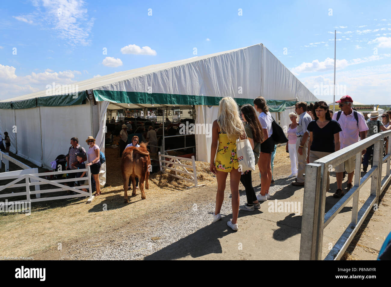 Il grande spettacolo dello Yorkshire, luglio,2018 il grande spettacolo dello Yorkshire è un iconico evento di tre giorni e una delle più importanti manifestazioni del settore agricolo in inglese ca Foto Stock