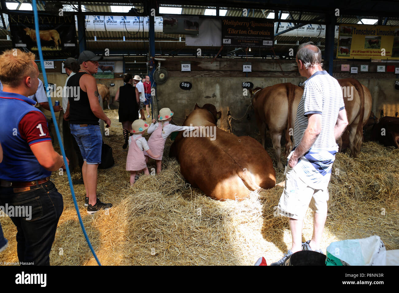 Il grande spettacolo dello Yorkshire, luglio,2018 il grande spettacolo dello Yorkshire è un iconico evento di tre giorni e una delle più importanti manifestazioni del settore agricolo in inglese ca Foto Stock