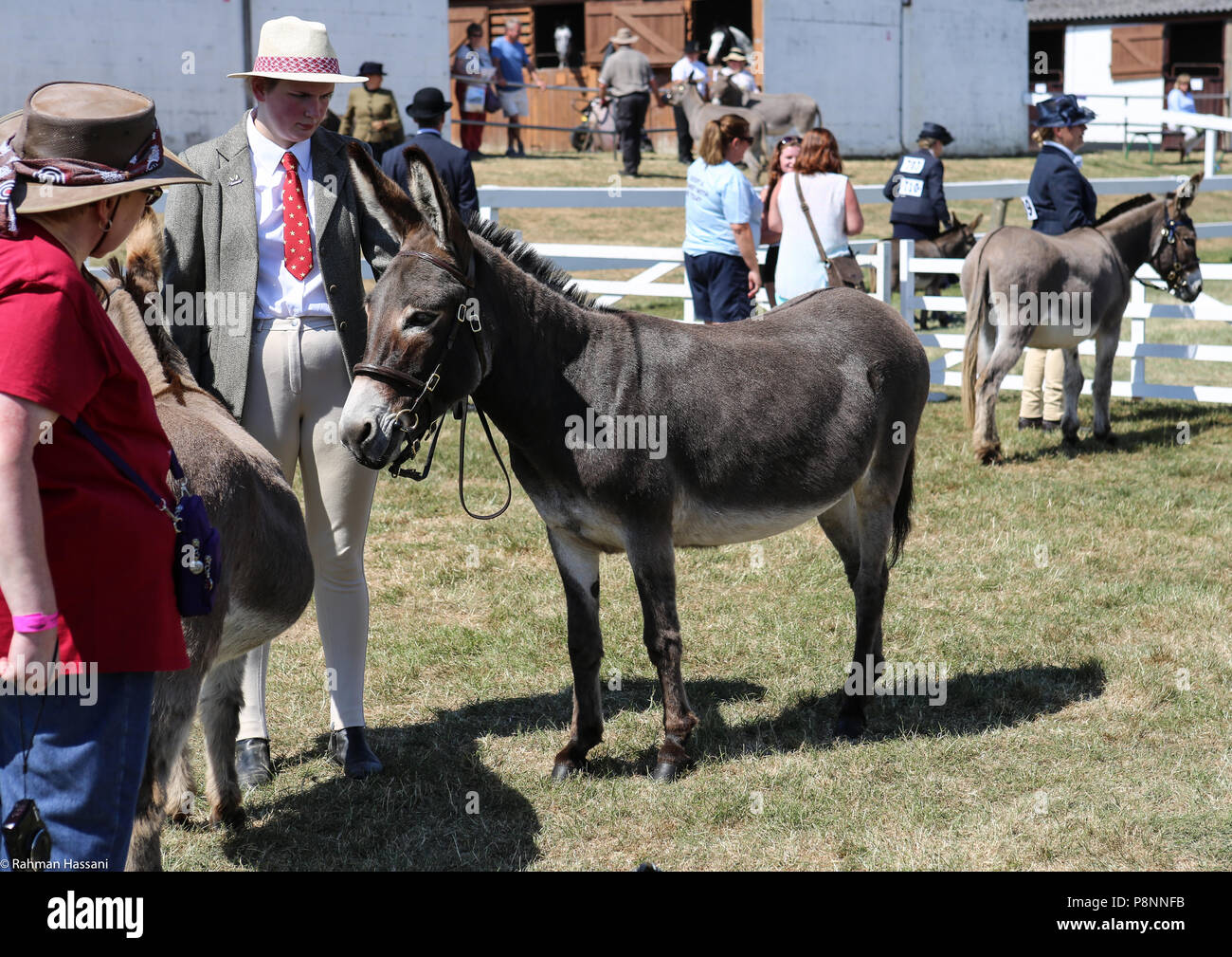 Il grande spettacolo dello Yorkshire, luglio,2018 il grande spettacolo dello Yorkshire è un iconico evento di tre giorni e una delle più importanti manifestazioni del settore agricolo in inglese ca Foto Stock