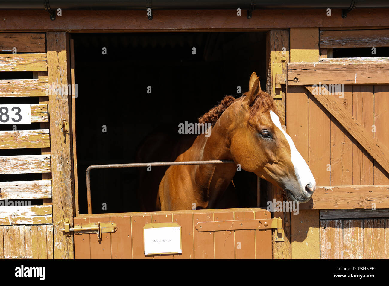 Il grande spettacolo dello Yorkshire, luglio,2018 il grande spettacolo dello Yorkshire è un iconico evento di tre giorni e una delle più importanti manifestazioni del settore agricolo in inglese ca Foto Stock