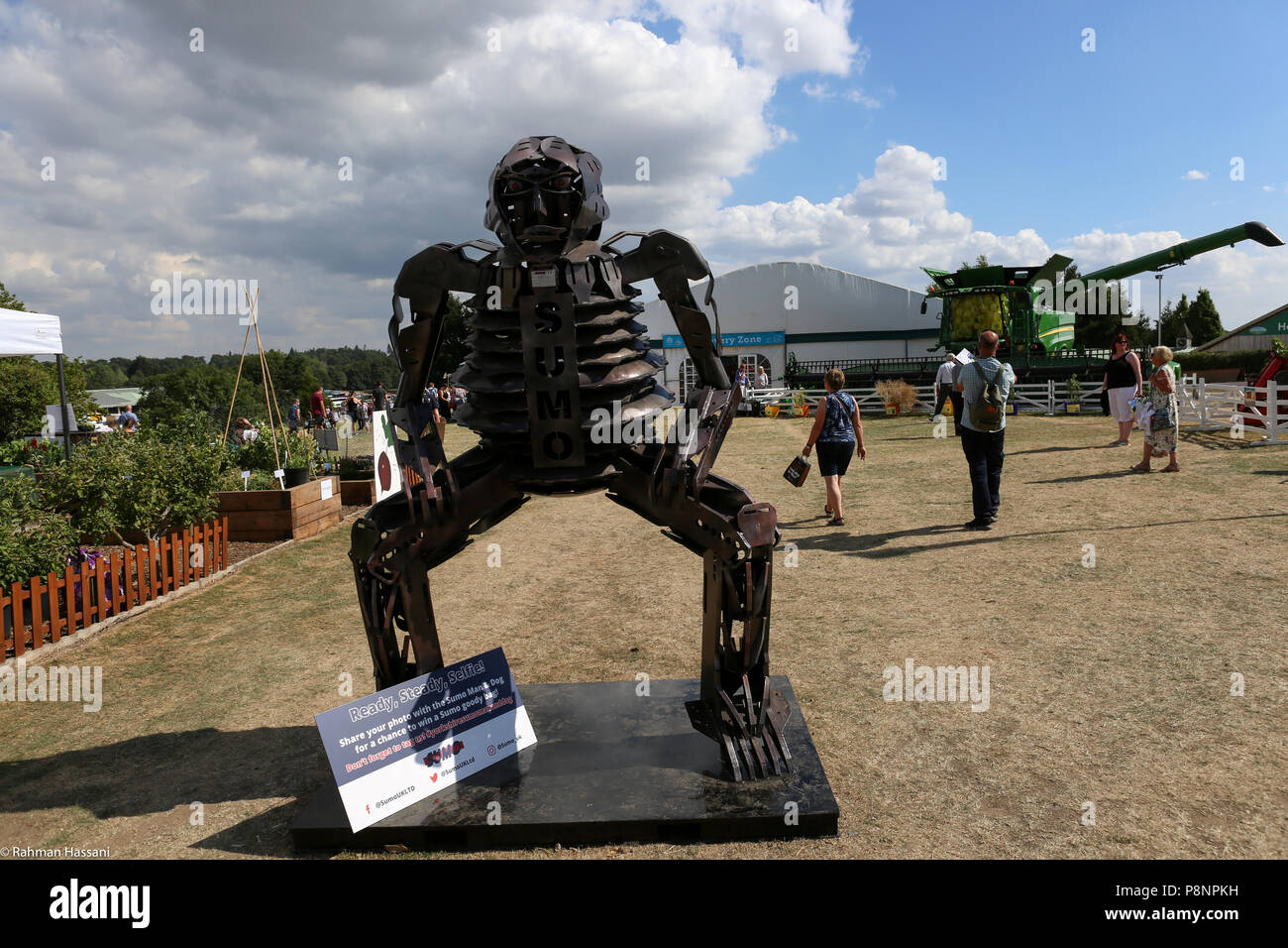 Il grande spettacolo dello Yorkshire, luglio,2018 il grande spettacolo dello Yorkshire è un iconico evento di tre giorni e una delle più importanti manifestazioni del settore agricolo in inglese ca Foto Stock