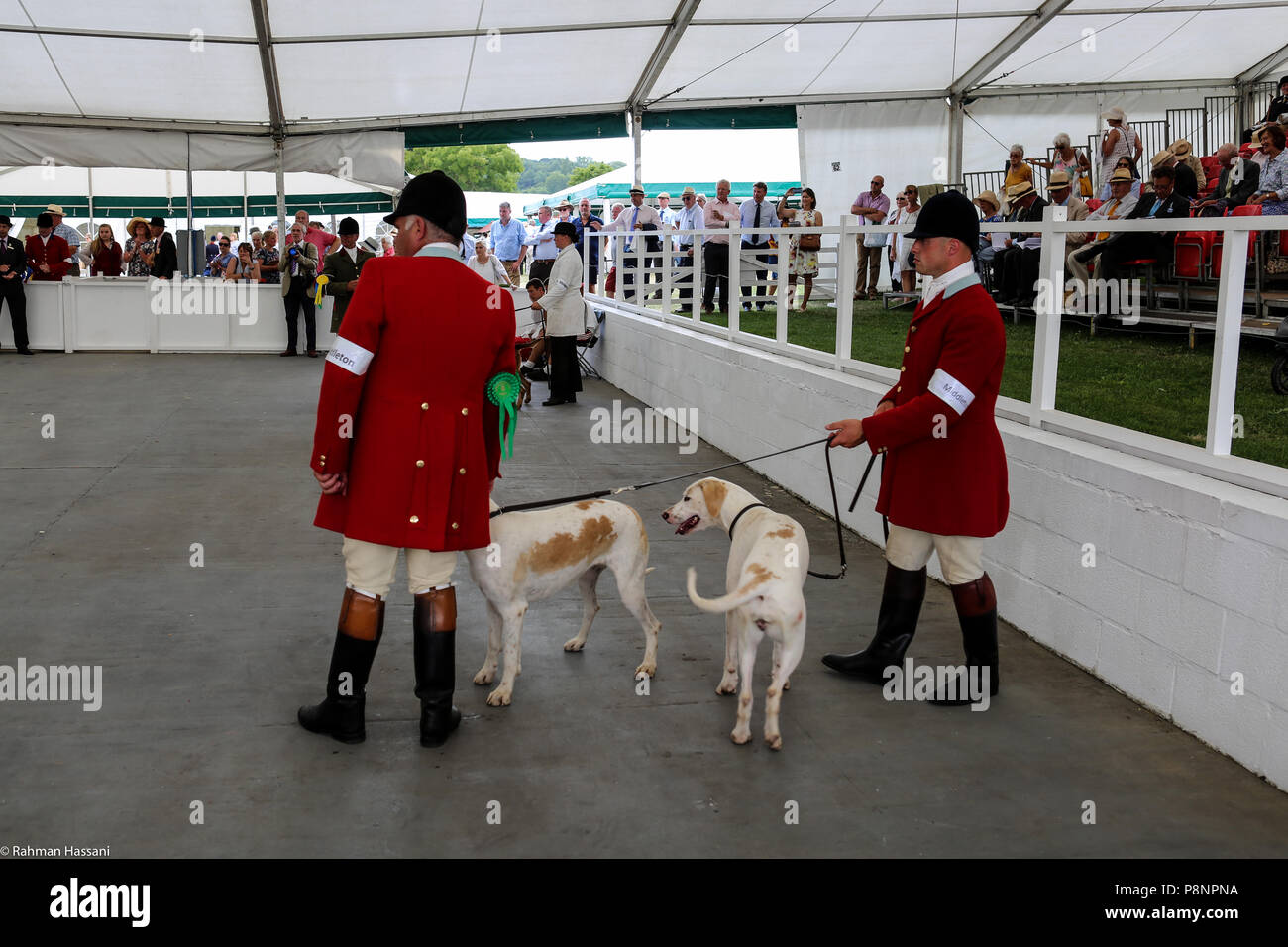 Il grande spettacolo dello Yorkshire, luglio,2018 il grande spettacolo dello Yorkshire è un iconico evento di tre giorni e una delle più importanti manifestazioni del settore agricolo in inglese ca Foto Stock