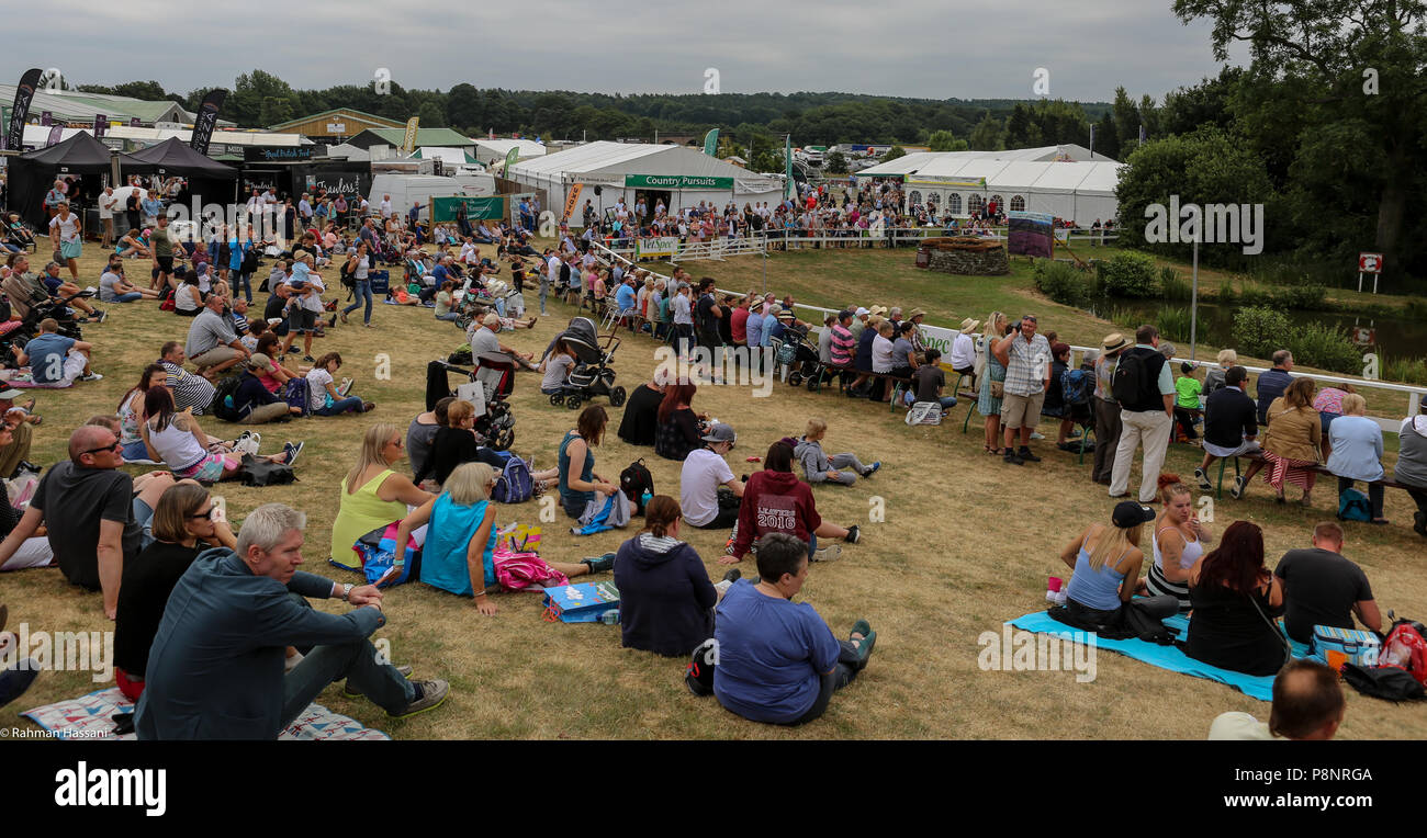 Il grande spettacolo dello Yorkshire, luglio,2018 il grande spettacolo dello Yorkshire è un iconico evento di tre giorni e una delle più importanti manifestazioni del settore agricolo in inglese ca Foto Stock