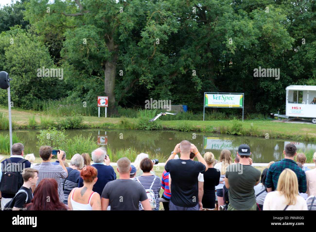 Il grande spettacolo dello Yorkshire, luglio,2018 il grande spettacolo dello Yorkshire è un iconico evento di tre giorni e una delle più importanti manifestazioni del settore agricolo in inglese ca Foto Stock
