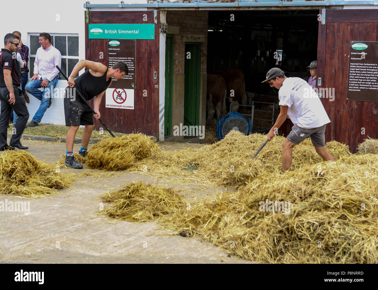 Il grande spettacolo dello Yorkshire, luglio,2018 il grande spettacolo dello Yorkshire è un iconico evento di tre giorni e una delle più importanti manifestazioni del settore agricolo in inglese ca Foto Stock