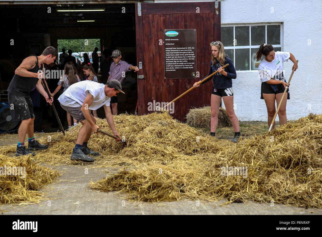 Il grande spettacolo dello Yorkshire, luglio,2018 il grande spettacolo dello Yorkshire è un iconico evento di tre giorni e una delle più importanti manifestazioni del settore agricolo in inglese ca Foto Stock