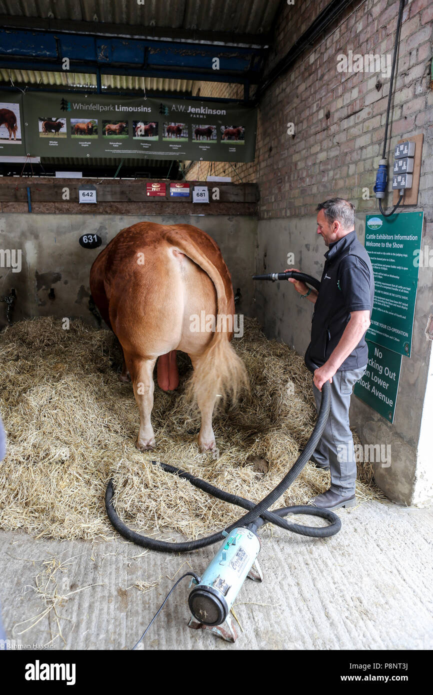 Il grande spettacolo dello Yorkshire, luglio,2018 il grande spettacolo dello Yorkshire è un iconico evento di tre giorni e una delle più importanti manifestazioni del settore agricolo in inglese ca Foto Stock