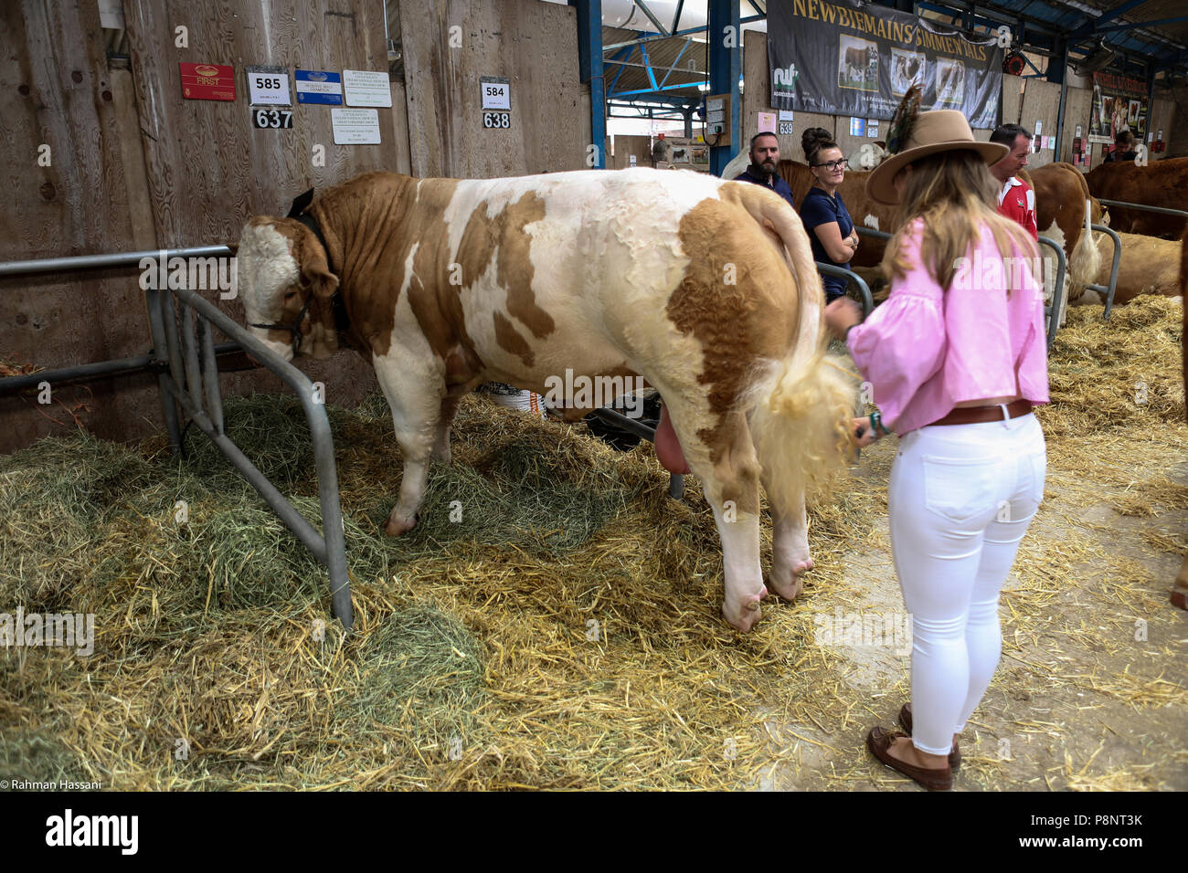 Il grande spettacolo dello Yorkshire, luglio,2018 il grande spettacolo dello Yorkshire è un iconico evento di tre giorni e una delle più importanti manifestazioni del settore agricolo in inglese ca Foto Stock