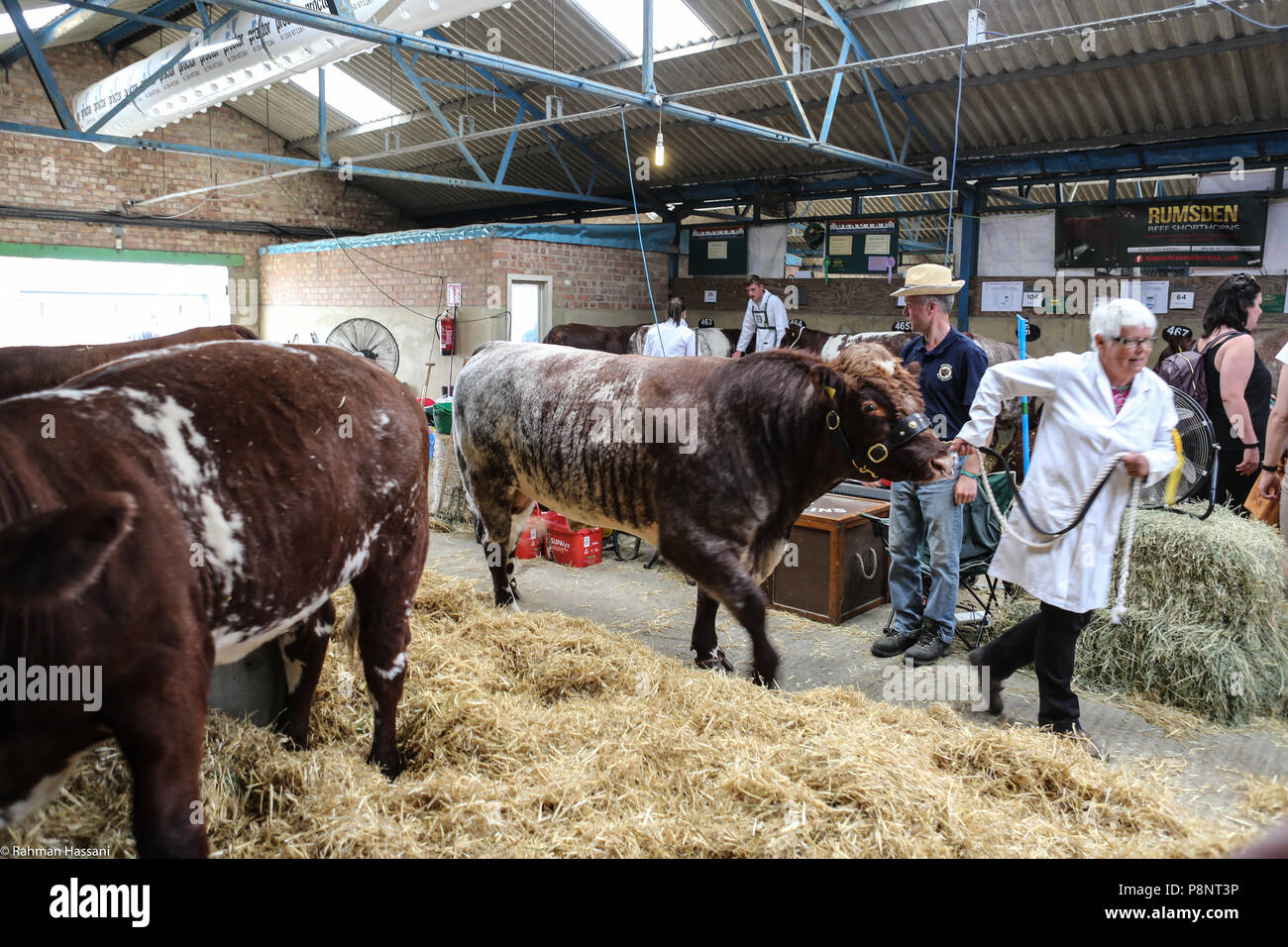 Il grande spettacolo dello Yorkshire, luglio,2018 il grande spettacolo dello Yorkshire è un iconico evento di tre giorni e una delle più importanti manifestazioni del settore agricolo in inglese ca Foto Stock