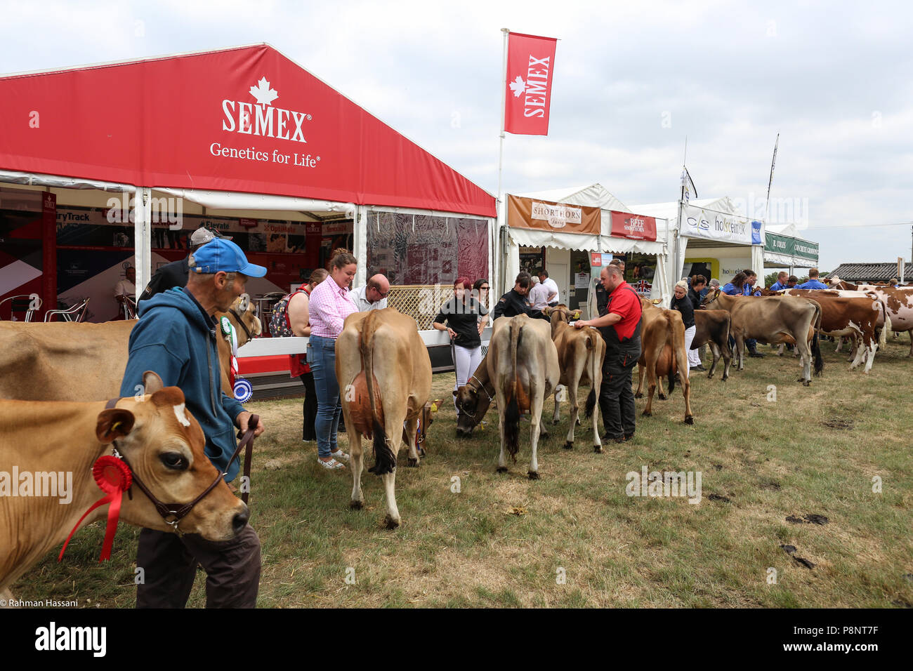 Il grande spettacolo dello Yorkshire, luglio,2018 il grande spettacolo dello Yorkshire è un iconico evento di tre giorni e una delle più importanti manifestazioni del settore agricolo in inglese ca Foto Stock