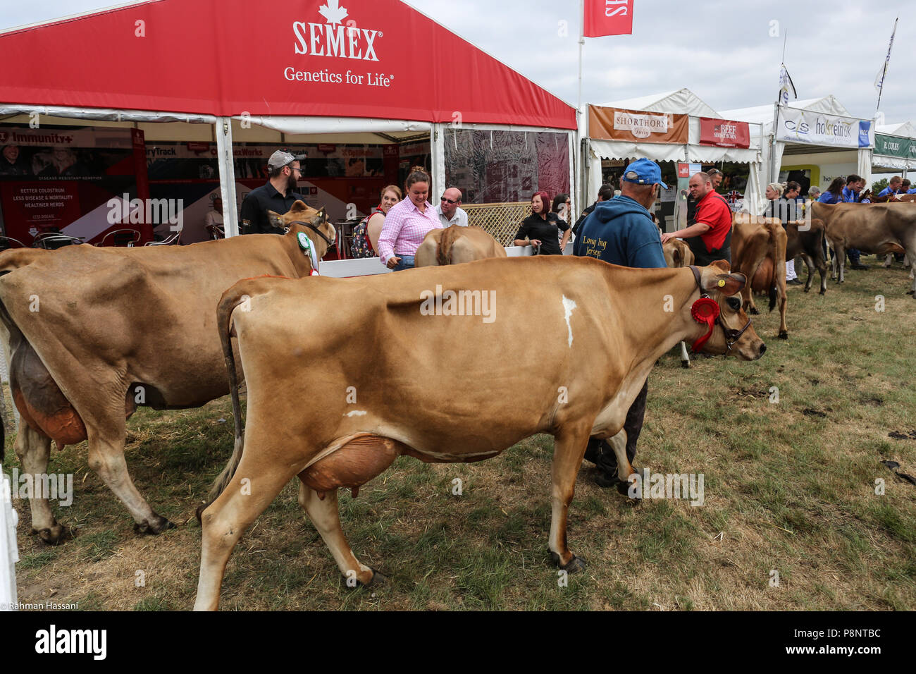 Il grande spettacolo dello Yorkshire, luglio,2018 il grande spettacolo dello Yorkshire è un iconico evento di tre giorni e una delle più importanti manifestazioni del settore agricolo in inglese ca Foto Stock