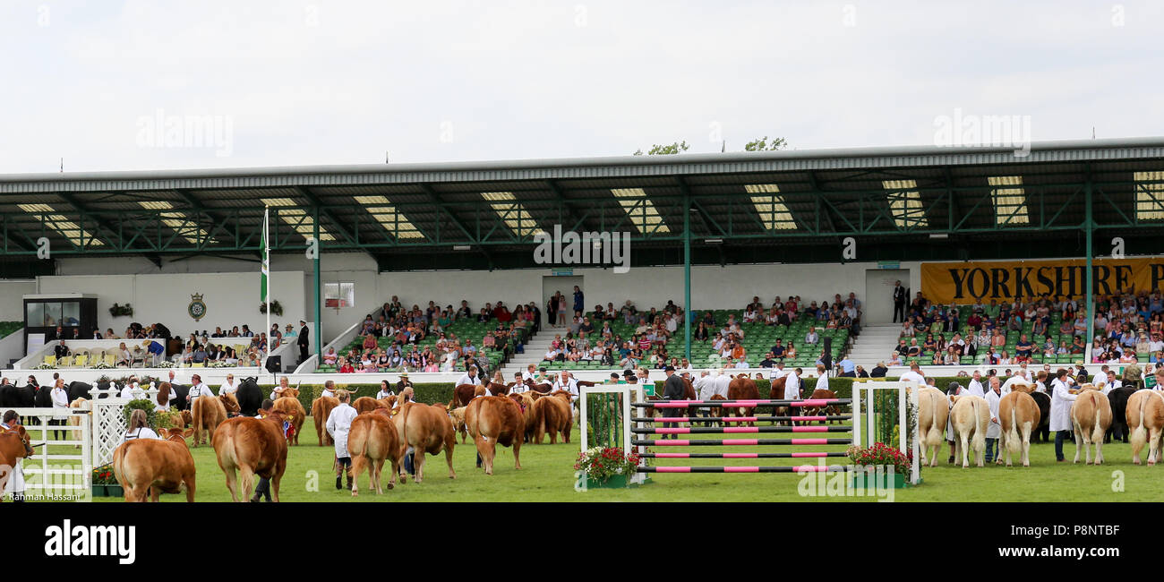 Il grande spettacolo dello Yorkshire, luglio,2018 il grande spettacolo dello Yorkshire è un iconico evento di tre giorni e una delle più importanti manifestazioni del settore agricolo in inglese ca Foto Stock