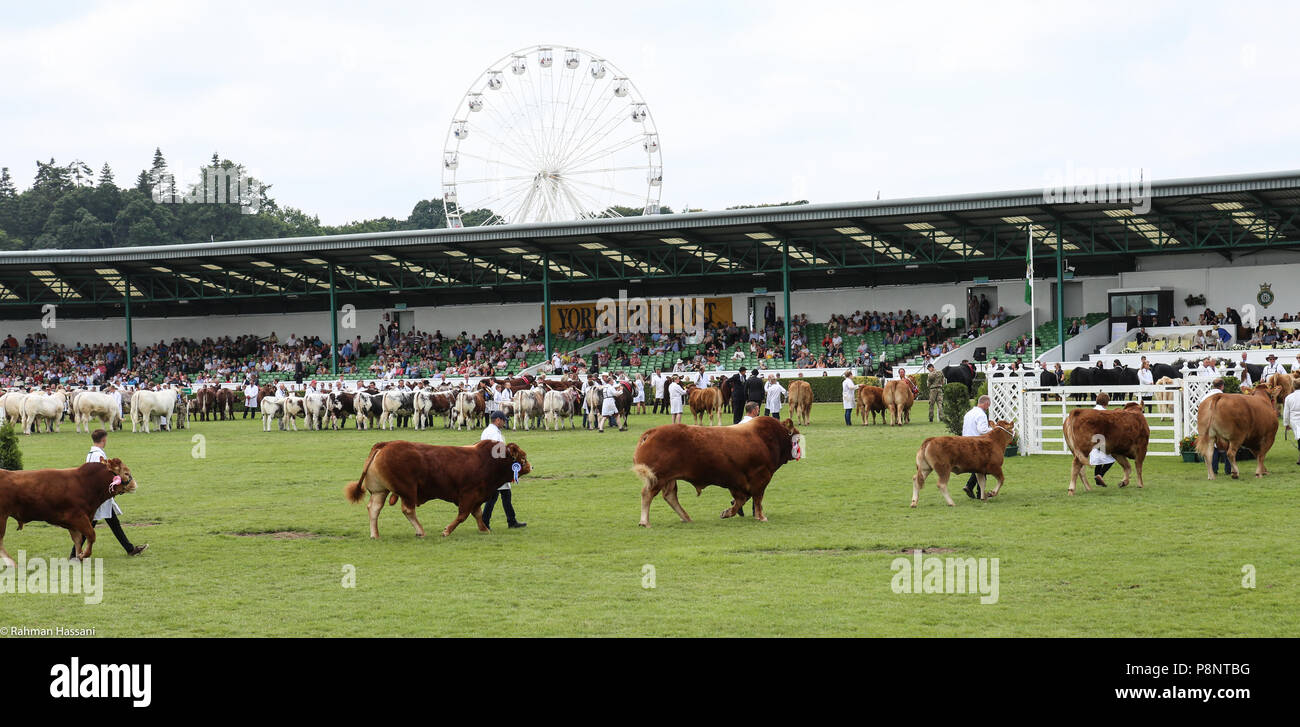Il grande spettacolo dello Yorkshire, luglio,2018 il grande spettacolo dello Yorkshire è un iconico evento di tre giorni e una delle più importanti manifestazioni del settore agricolo in inglese ca Foto Stock