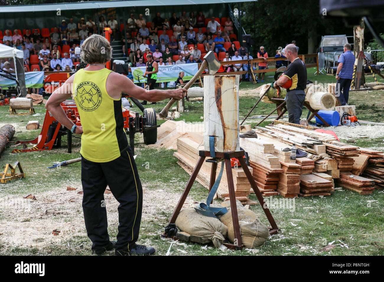 Il grande spettacolo dello Yorkshire, luglio,2018 il grande spettacolo dello Yorkshire è un iconico evento di tre giorni e una delle più importanti manifestazioni del settore agricolo in inglese ca Foto Stock