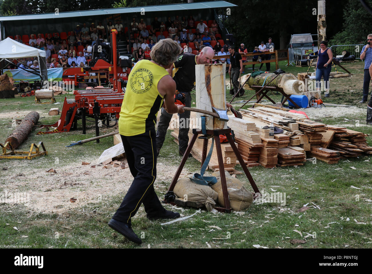 Il grande spettacolo dello Yorkshire, luglio,2018 il grande spettacolo dello Yorkshire è un iconico evento di tre giorni e una delle più importanti manifestazioni del settore agricolo in inglese ca Foto Stock