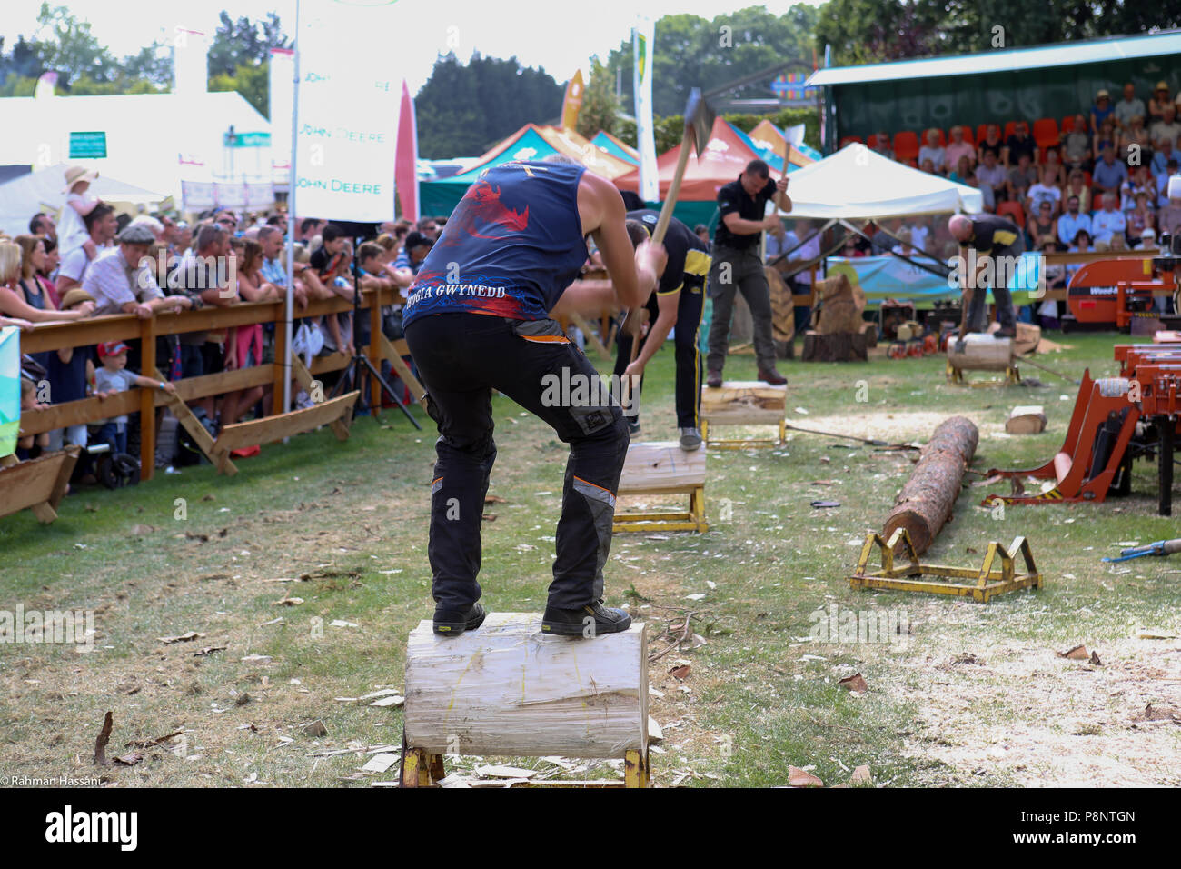 Il grande spettacolo dello Yorkshire, luglio,2018 il grande spettacolo dello Yorkshire è un iconico evento di tre giorni e una delle più importanti manifestazioni del settore agricolo in inglese ca Foto Stock