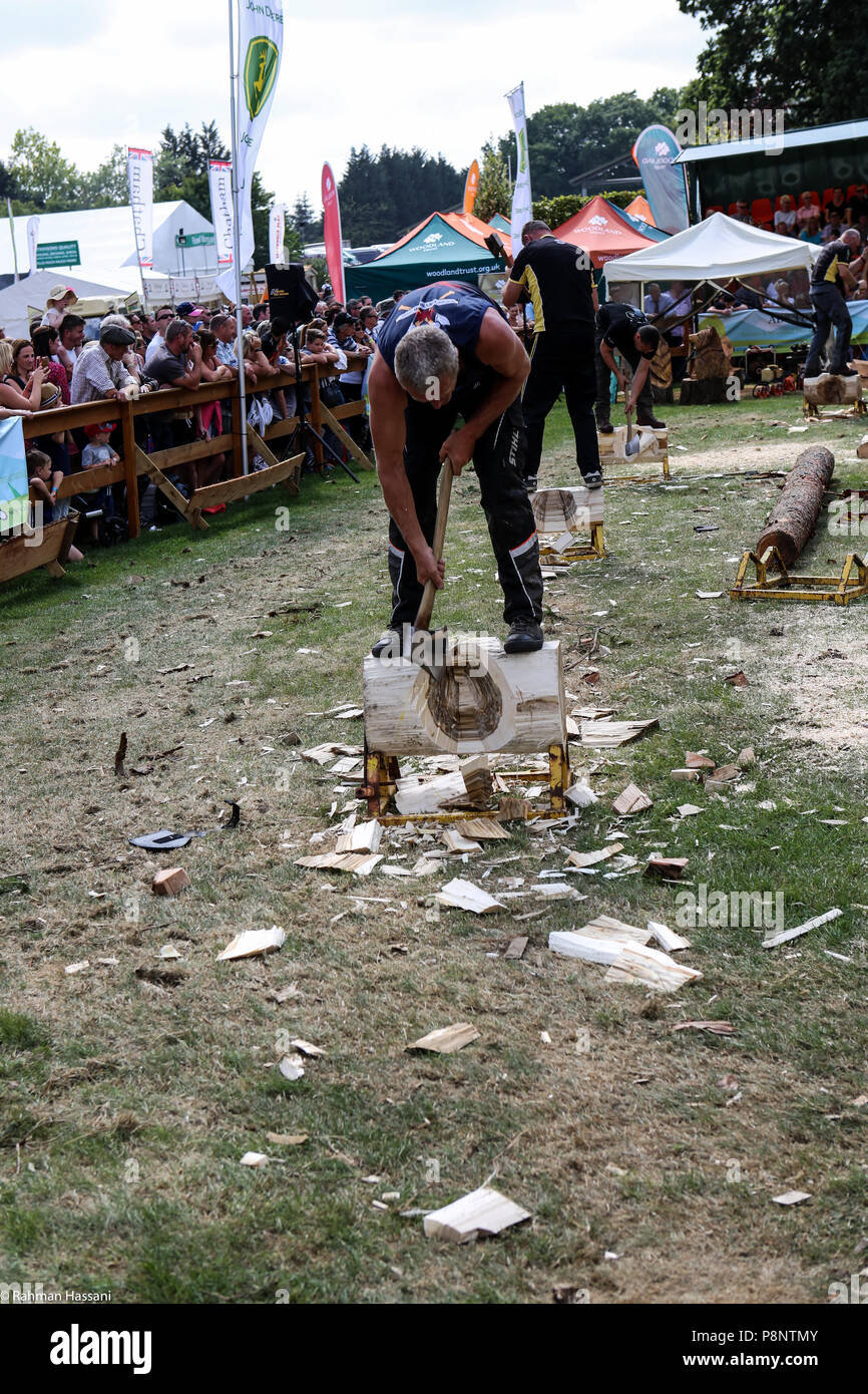 Il grande spettacolo dello Yorkshire, luglio,2018 il grande spettacolo dello Yorkshire è un iconico evento di tre giorni e una delle più importanti manifestazioni del settore agricolo in inglese ca Foto Stock