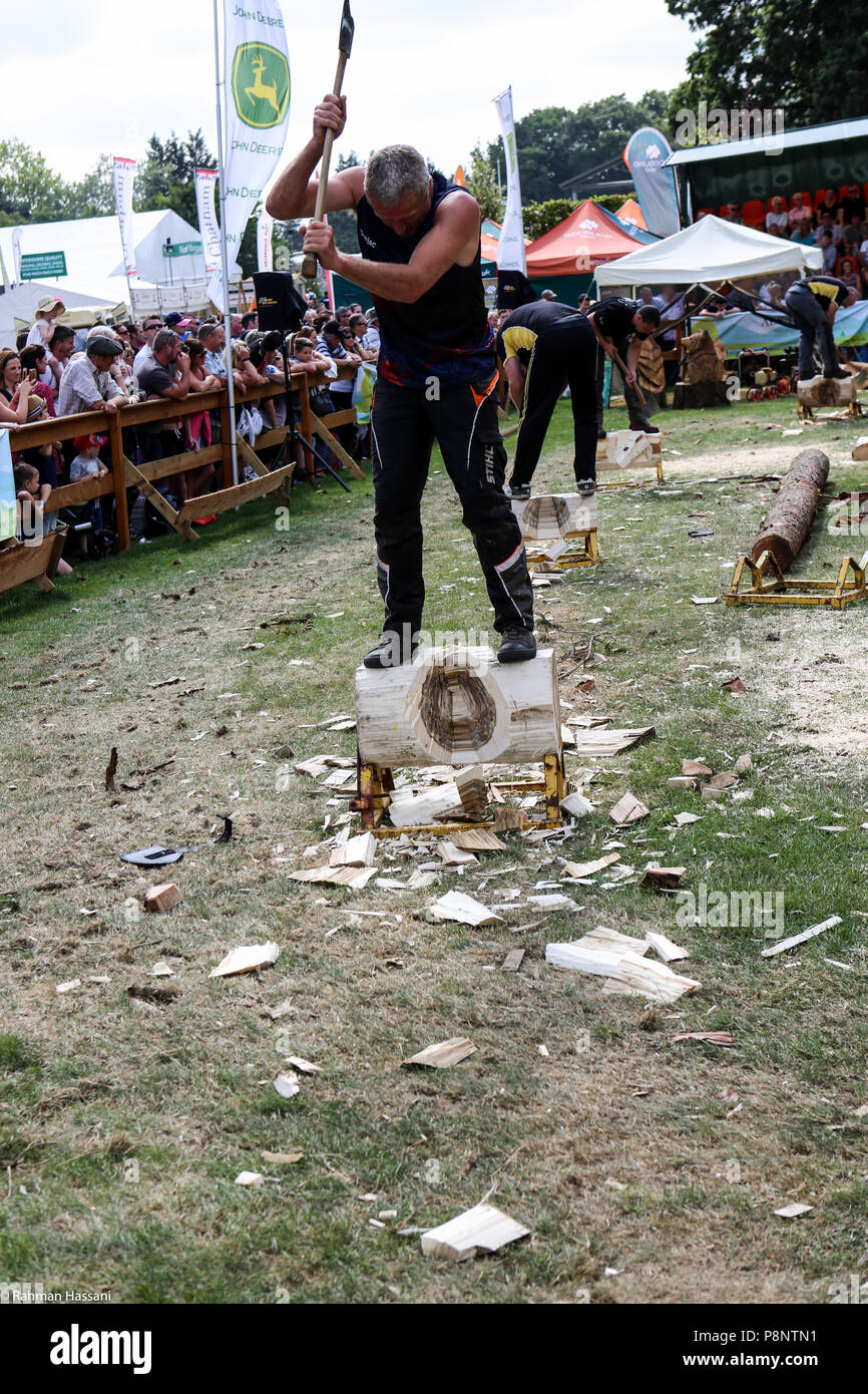 Il grande spettacolo dello Yorkshire, luglio,2018 il grande spettacolo dello Yorkshire è un iconico evento di tre giorni e una delle più importanti manifestazioni del settore agricolo in inglese ca Foto Stock