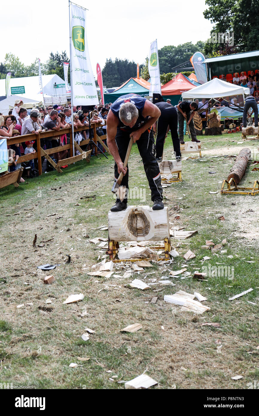 Il grande spettacolo dello Yorkshire, luglio,2018 il grande spettacolo dello Yorkshire è un iconico evento di tre giorni e una delle più importanti manifestazioni del settore agricolo in inglese ca Foto Stock
