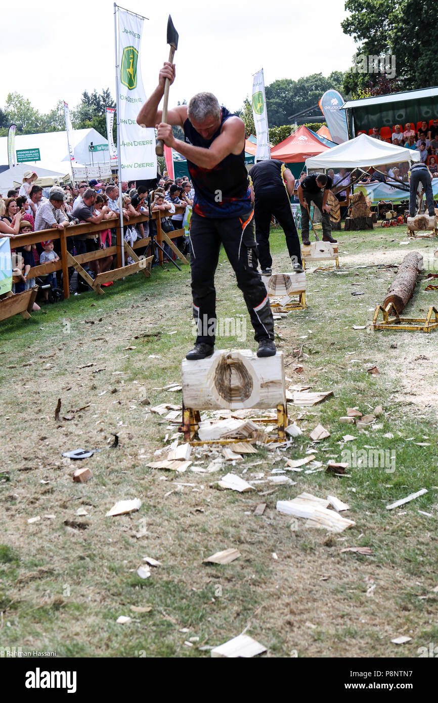 Il grande spettacolo dello Yorkshire, luglio,2018 il grande spettacolo dello Yorkshire è un iconico evento di tre giorni e una delle più importanti manifestazioni del settore agricolo in inglese ca Foto Stock