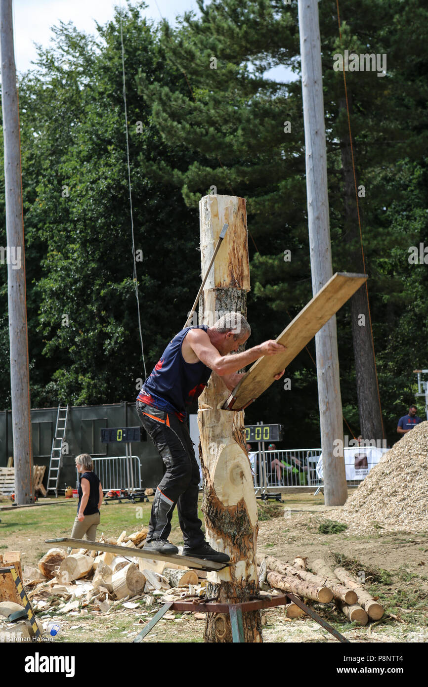 Il grande spettacolo dello Yorkshire, luglio,2018 il grande spettacolo dello Yorkshire è un iconico evento di tre giorni e una delle più importanti manifestazioni del settore agricolo in inglese ca Foto Stock