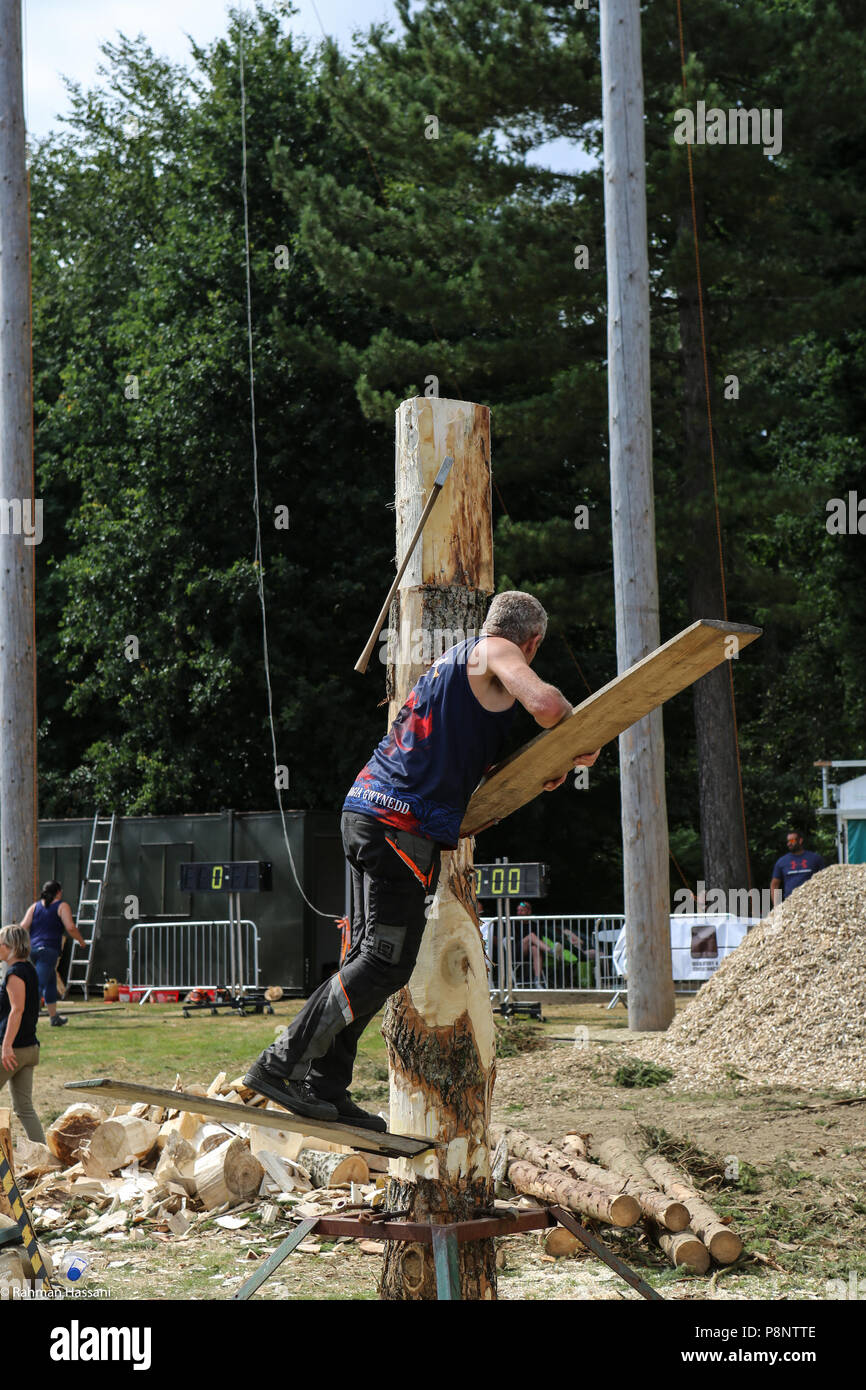 Il grande spettacolo dello Yorkshire, luglio,2018 il grande spettacolo dello Yorkshire è un iconico evento di tre giorni e una delle più importanti manifestazioni del settore agricolo in inglese ca Foto Stock