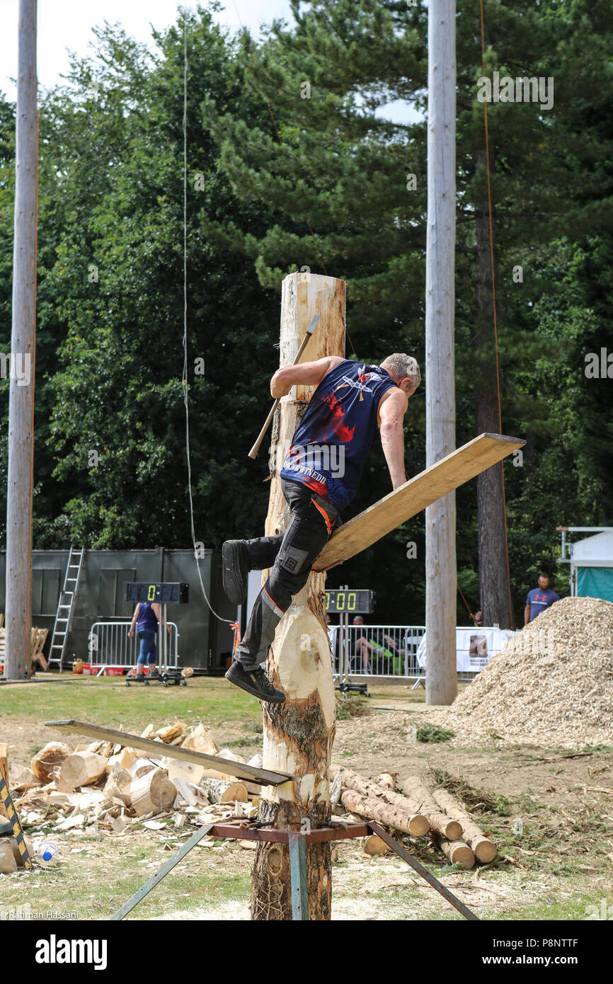 Il grande spettacolo dello Yorkshire, luglio,2018 il grande spettacolo dello Yorkshire è un iconico evento di tre giorni e una delle più importanti manifestazioni del settore agricolo in inglese ca Foto Stock