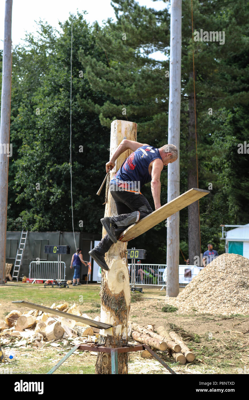 Il grande spettacolo dello Yorkshire, luglio,2018 il grande spettacolo dello Yorkshire è un iconico evento di tre giorni e una delle più importanti manifestazioni del settore agricolo in inglese ca Foto Stock