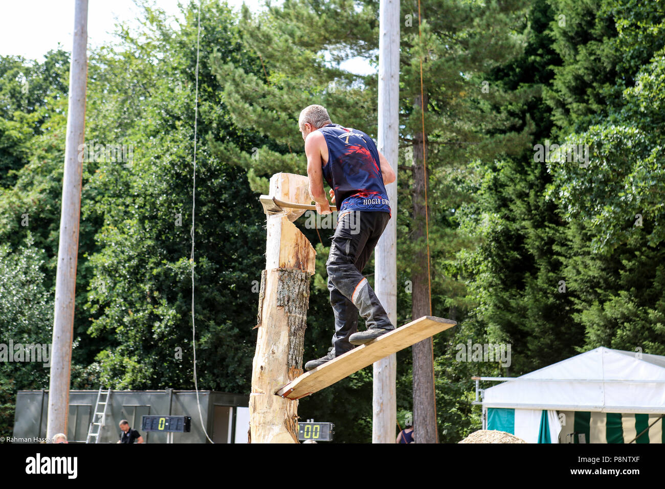 Il grande spettacolo dello Yorkshire, luglio,2018 il grande spettacolo dello Yorkshire è un iconico evento di tre giorni e una delle più importanti manifestazioni del settore agricolo in inglese ca Foto Stock