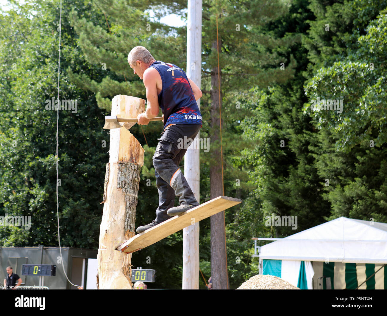 Il grande spettacolo dello Yorkshire, luglio,2018 il grande spettacolo dello Yorkshire è un iconico evento di tre giorni e una delle più importanti manifestazioni del settore agricolo in inglese ca Foto Stock
