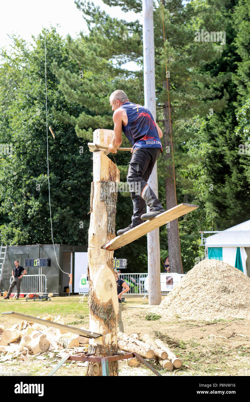 Il grande spettacolo dello Yorkshire, luglio,2018 il grande spettacolo dello Yorkshire è un iconico evento di tre giorni e una delle più importanti manifestazioni del settore agricolo in inglese ca Foto Stock