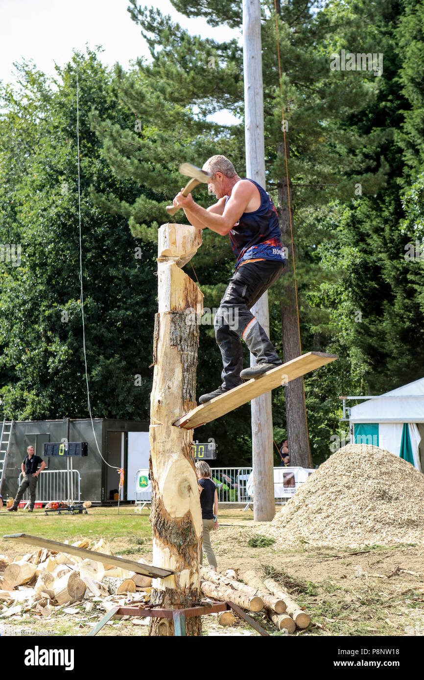 Il grande spettacolo dello Yorkshire, luglio,2018 il grande spettacolo dello Yorkshire è un iconico evento di tre giorni e una delle più importanti manifestazioni del settore agricolo in inglese ca Foto Stock