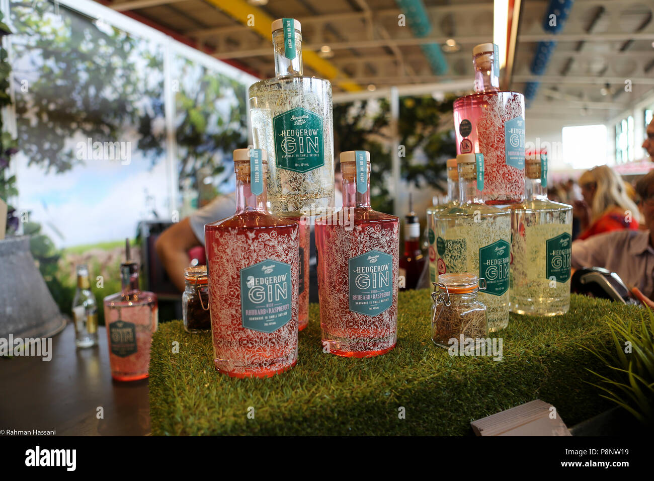 Il grande spettacolo dello Yorkshire, luglio,2018 il grande spettacolo dello Yorkshire è un iconico evento di tre giorni e una delle più importanti manifestazioni del settore agricolo in inglese ca Foto Stock