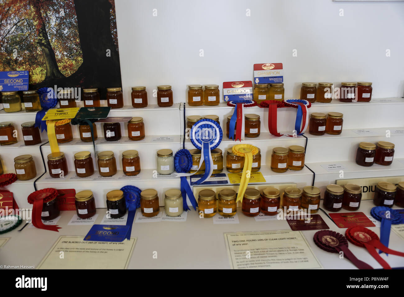 Il grande spettacolo dello Yorkshire, luglio,2018 il grande spettacolo dello Yorkshire è un iconico evento di tre giorni e una delle più importanti manifestazioni del settore agricolo in inglese ca Foto Stock