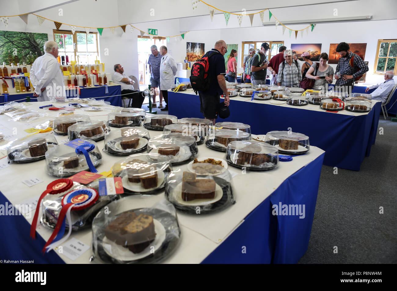 Il grande spettacolo dello Yorkshire, luglio,2018 il grande spettacolo dello Yorkshire è un iconico evento di tre giorni e una delle più importanti manifestazioni del settore agricolo in inglese ca Foto Stock