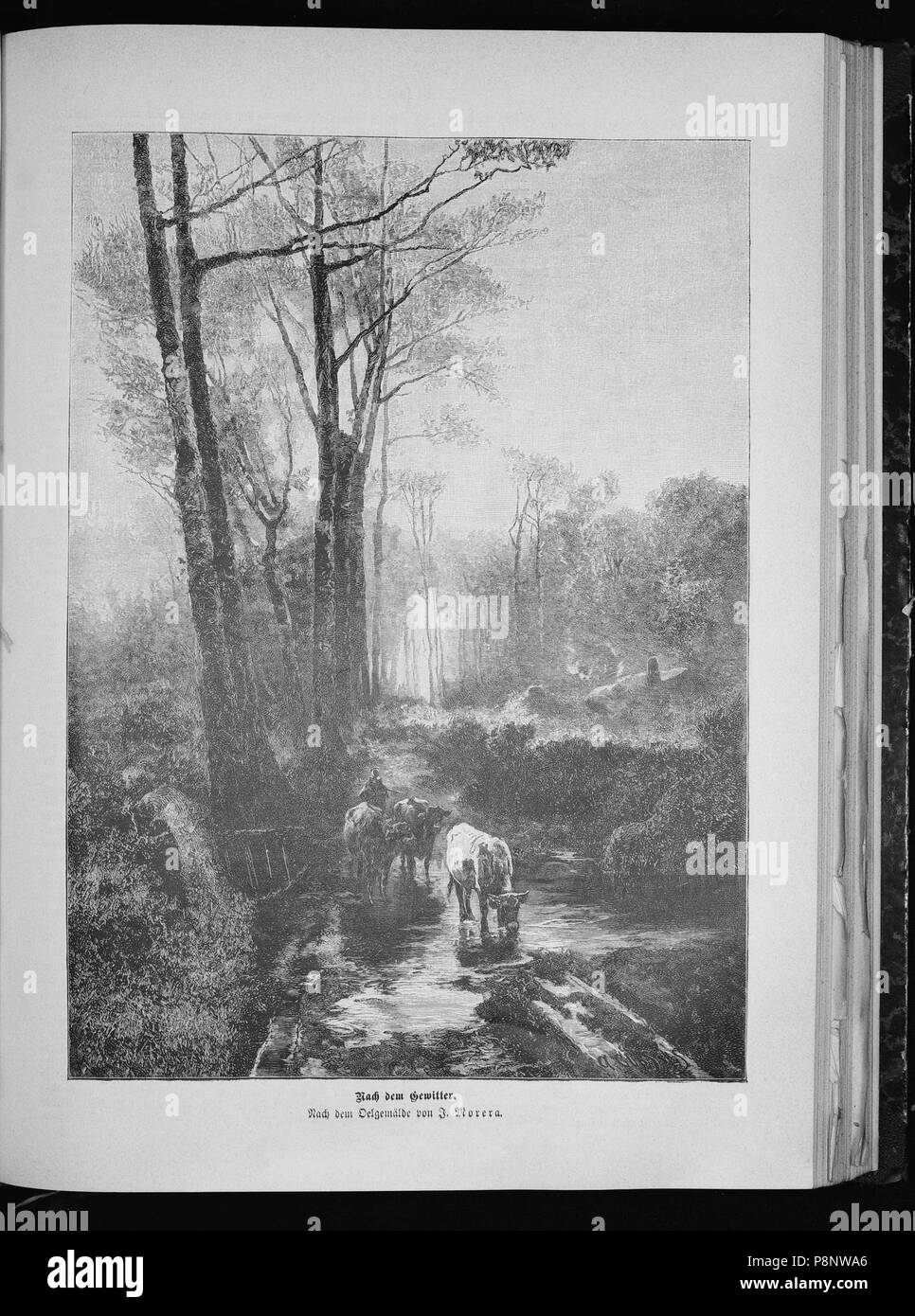 . 230 Die Gartenlaube (1887) 489 Foto Stock