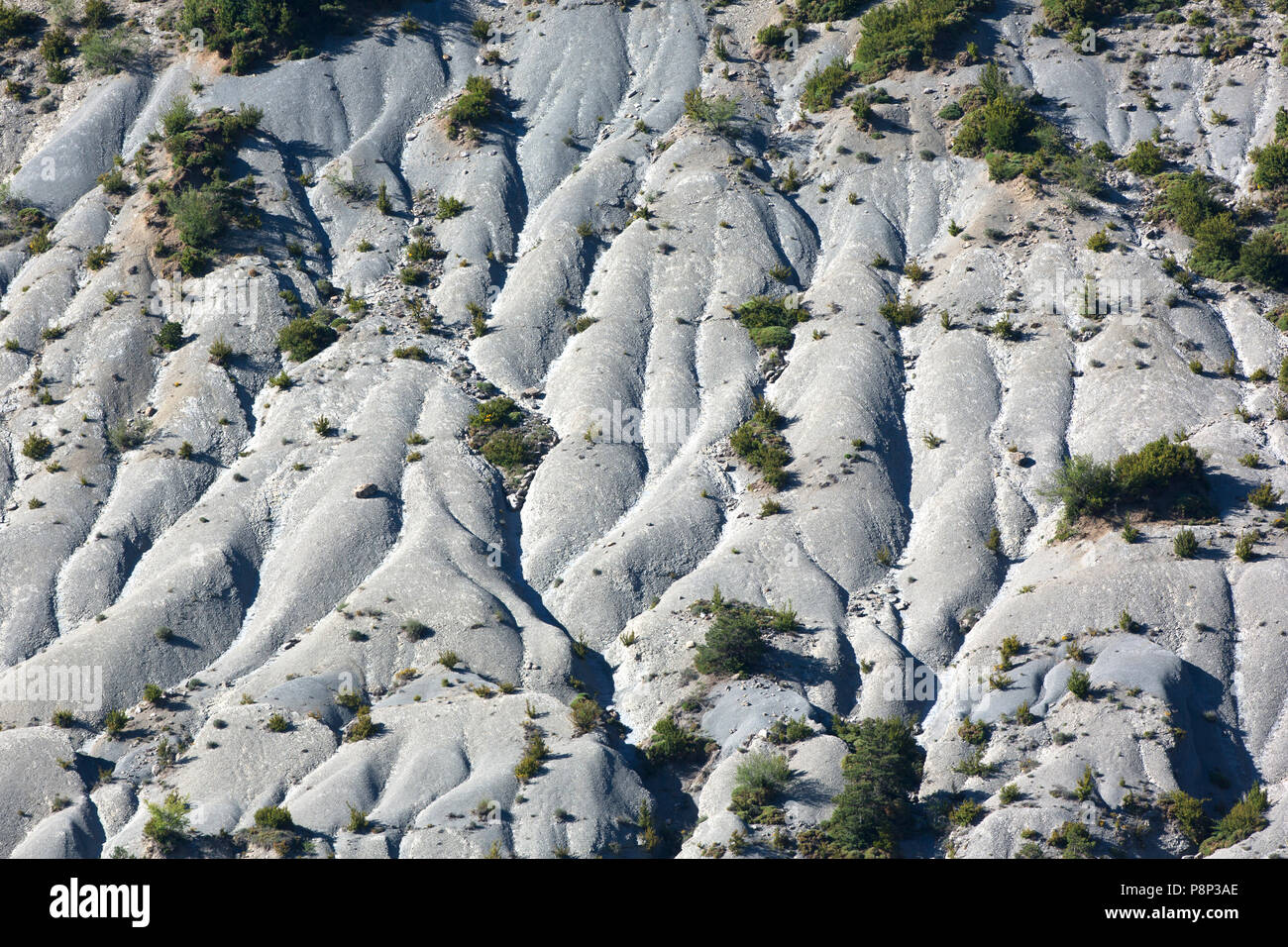 Pirenei spagnoli Foto Stock