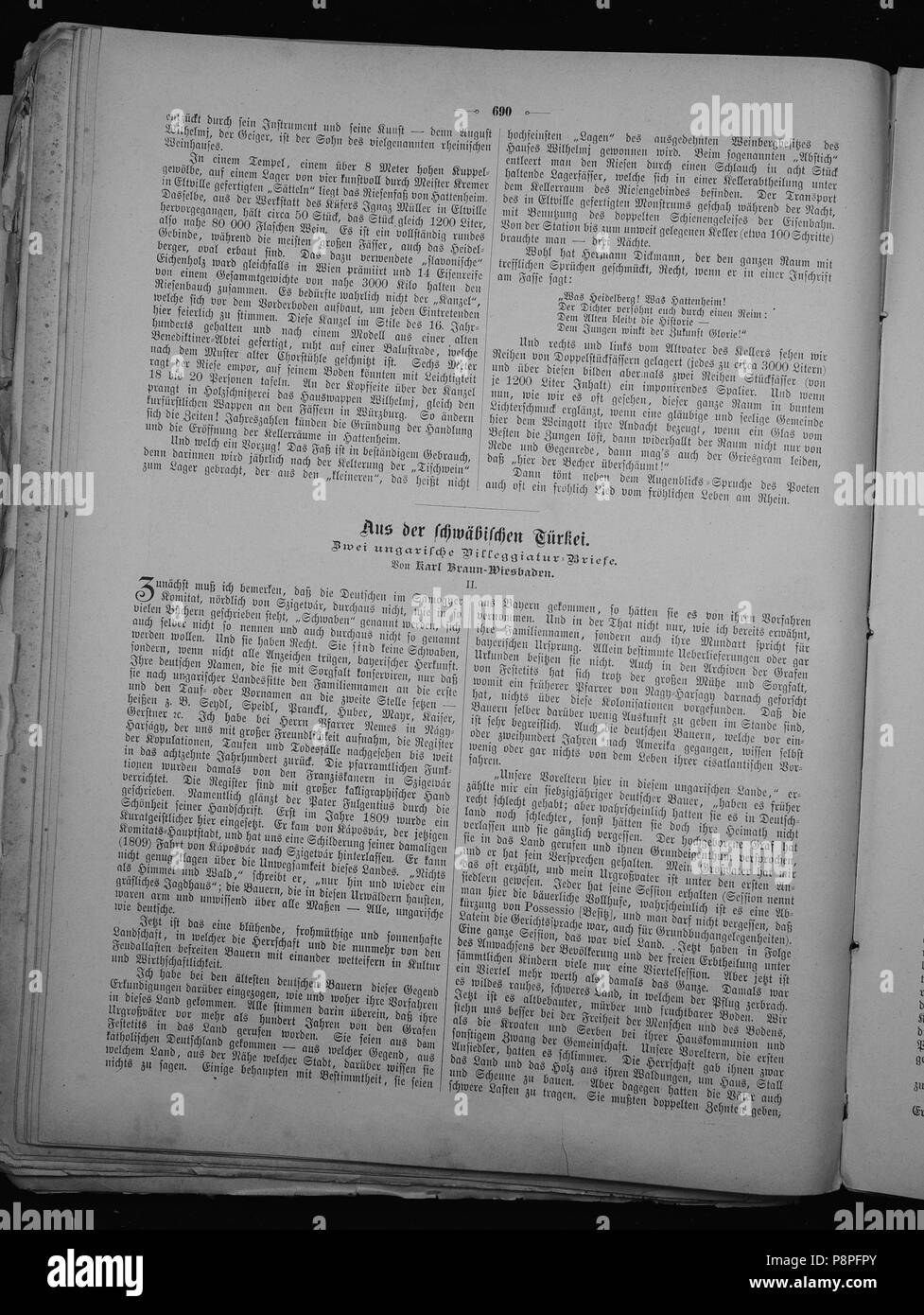 . 219 Die Gartenlaube (1885) 690 Foto Stock