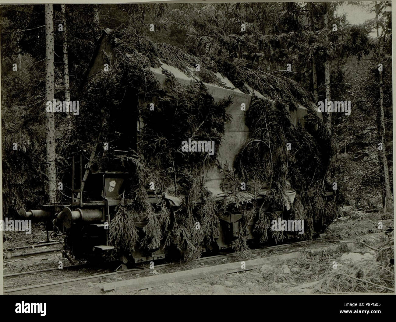 380 Küsten Haubitzen L-15, Batterie 3, Stellung im Lesachtal. Rohrwagen maskiert am trasporto. Aufgen.am 19.VIII.1916. (BildID 15480314) Foto Stock