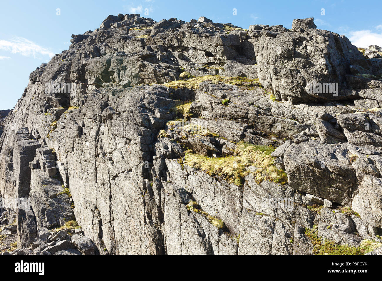 Roccia con licheni e muschi. Foto Stock